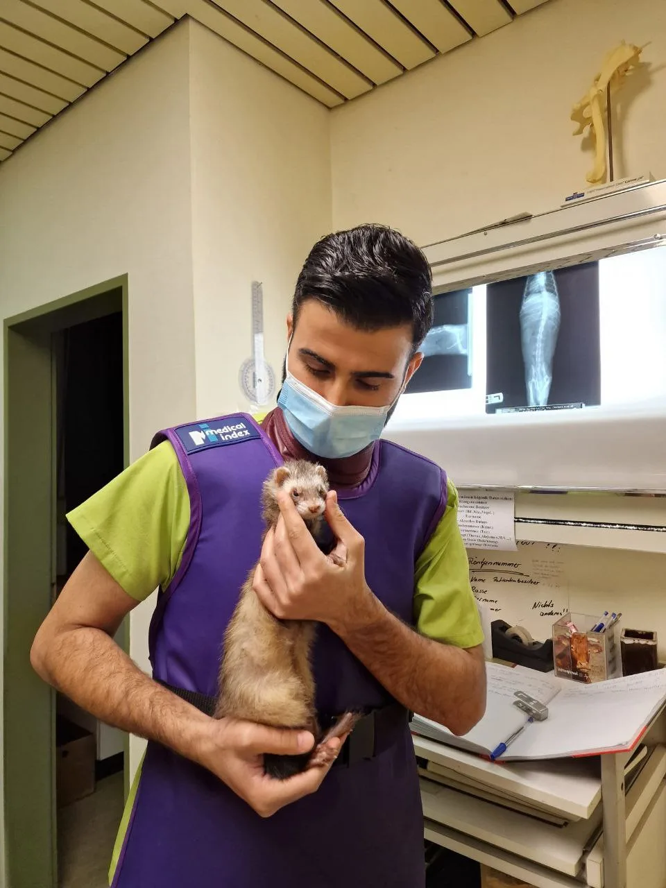 Tiermedizinische Versorgung vor Ort