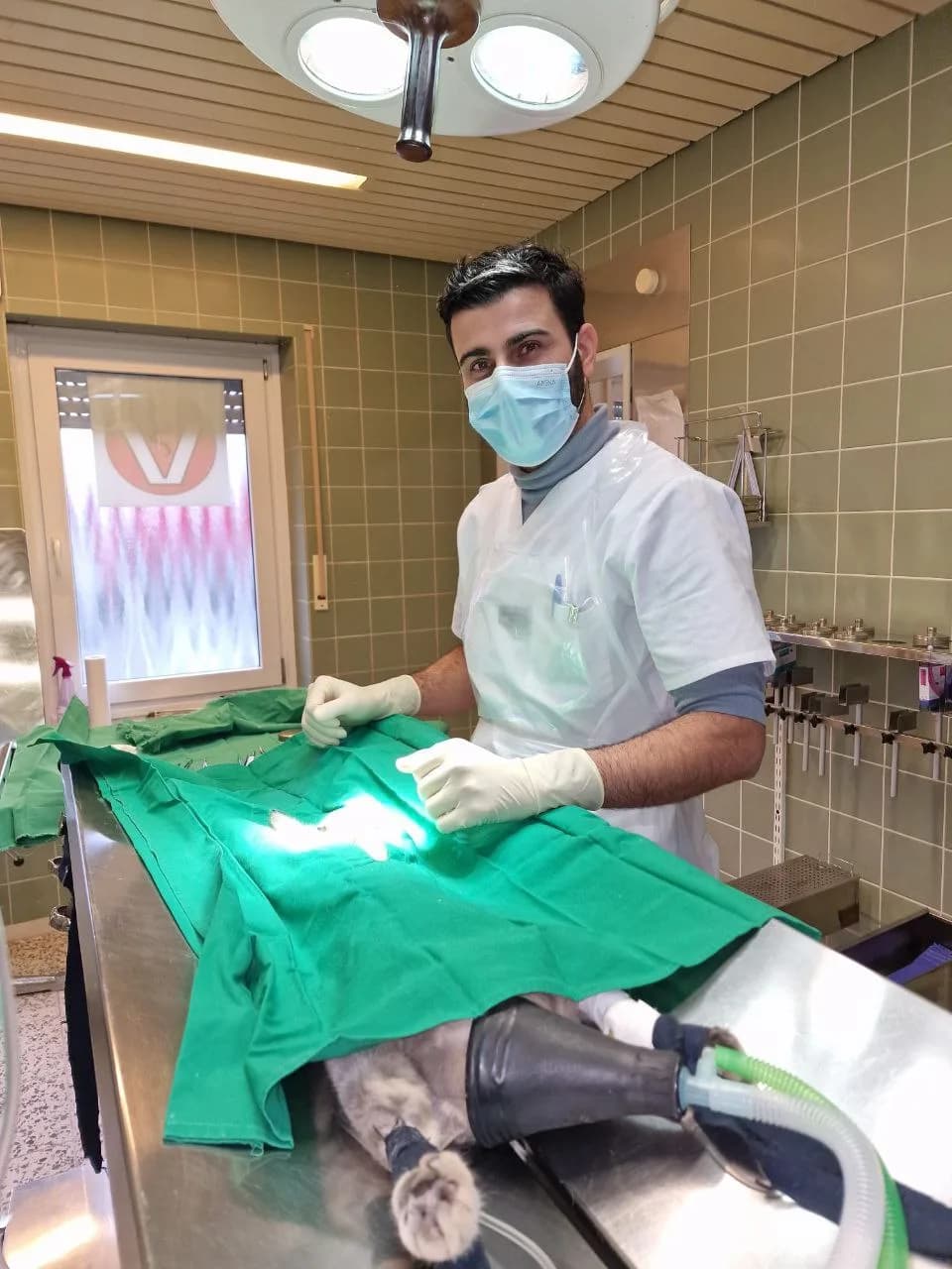 Einfühlsame Untersuchung im Hausbesuch