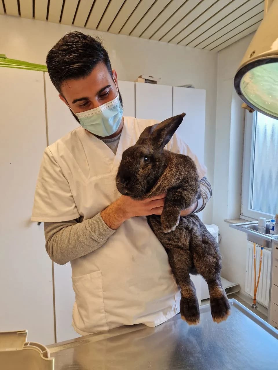 VetCar24 Team im mobilen Einsatz