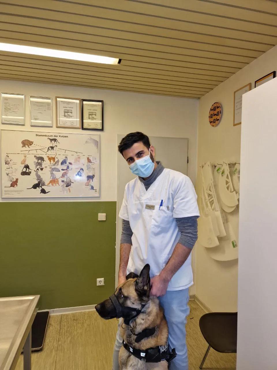 Moderne mobile Tierarztpraxis