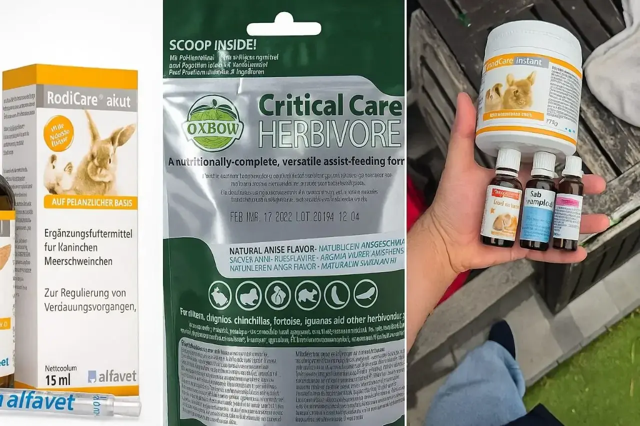 Kaninchen-Apotheke: Erste Hilfe für Notfälle, Tierarzt VetCar 24